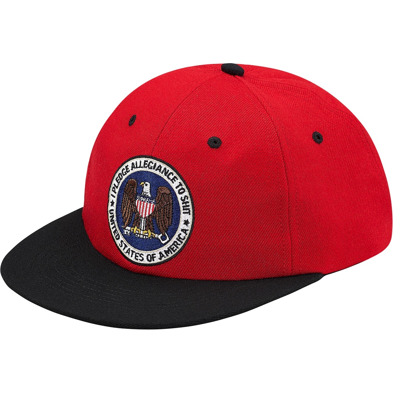 Pledge Allegiance 6-Panel view 8